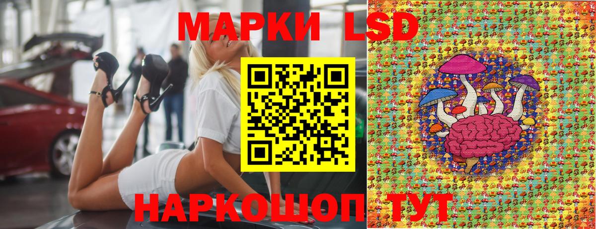 Губаха  Марки N-bome 1,8мг  где найти   Вход с VPN 