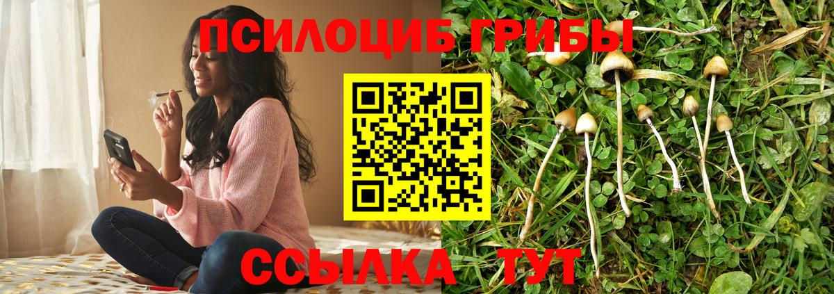 Губаха  Галлюциногенные грибы GOLDEN TEACHER  Галлюциногенные грибы прущие грибы  Вход с VPN 